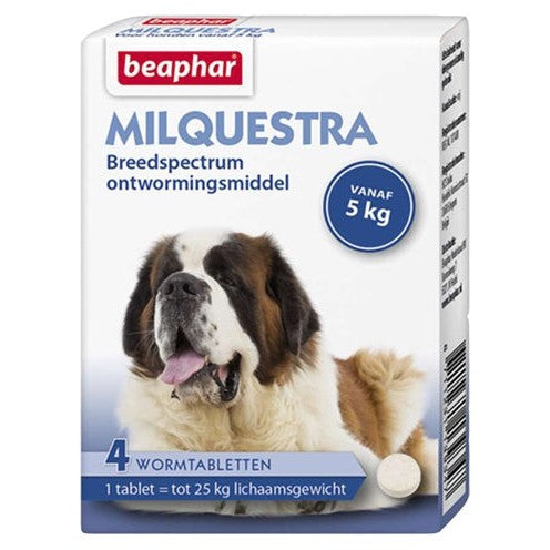 Beaphar Milquestra Hond - BESTRIJDINGSARTIKELEN - BrokjesKoning.nl