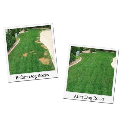 Dog Rocks - BESTRIJDINGSARTIKELEN - BrokjesKoning.nl