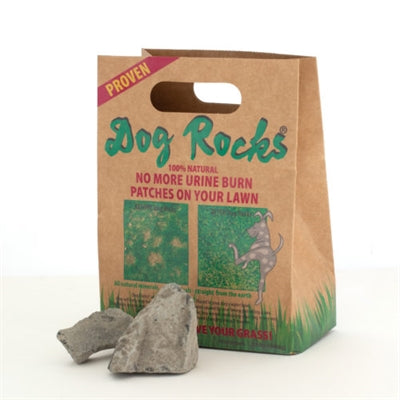 Dog Rocks - BESTRIJDINGSARTIKELEN - BrokjesKoning.nl