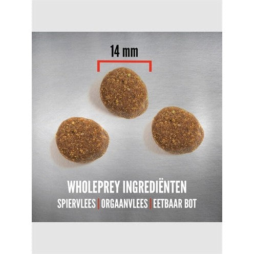 Orijen Whole Prey Puppy Large Breed - DROOGVOER - BrokjesKoning.nl