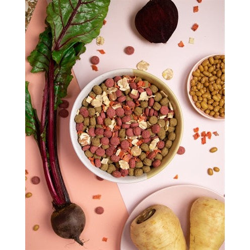 Pawr Plantaardig Vegan Beet Booster Rode Biet / Pastinaak / Bonen / Wortel - DROOGVOER - BrokjesKoning.nl