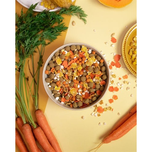 Pawr Plantaardig Vegan Golden Glow Wortel / Maïs / Pompoen / Boekweit - DROOGVOER - BrokjesKoning.nl
