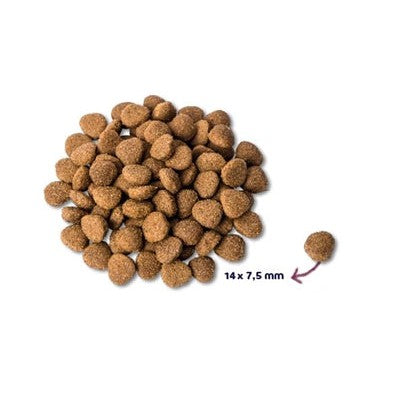 Renske Super Premium Adult Kalkoen / Eend - DROOGVOER - BrokjesKoning.nl