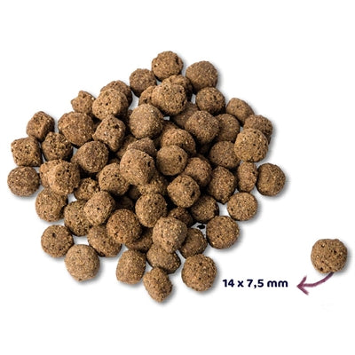 Renske Super Premium Adult Oceaanvis - DROOGVOER - BrokjesKoning.nl