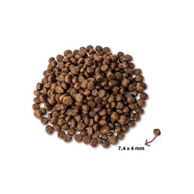 Renske Super Premium Puppy Kip / Lam - DROOGVOER - BrokjesKoning.nl