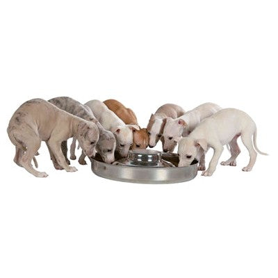 Trixie Junior Puppyvoerbak Rvs - VOER/DRINKBAKKEN - BrokjesKoning.nl