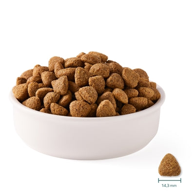 Yarrah Dog Biologische Brokken Vega Baobab / Kokosolie - DROOGVOER - BrokjesKoning.nl
