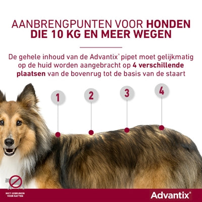 Bayer Elanco Advantix Spot On - BESTRIJDINGSARTIKELEN - BrokjesKoning.nl