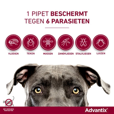 Bayer Elanco Advantix Spot On - BESTRIJDINGSARTIKELEN - BrokjesKoning.nl