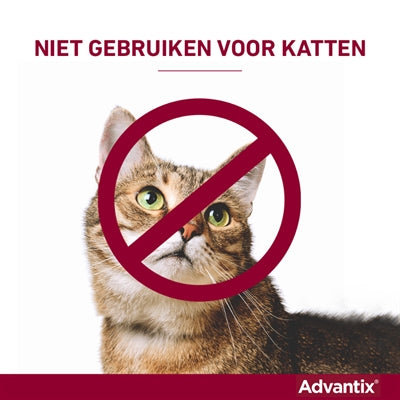 Bayer Elanco Advantix Spot On - BESTRIJDINGSARTIKELEN - BrokjesKoning.nl