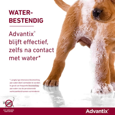 Bayer Elanco Advantix Spot On - BESTRIJDINGSARTIKELEN - BrokjesKoning.nl