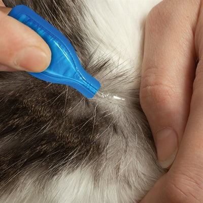 Beaphar Fiprotec Kat Tegen Vlooien & Teken - BESTRIJDINGSARTIKELEN - BrokjesKoning.nl