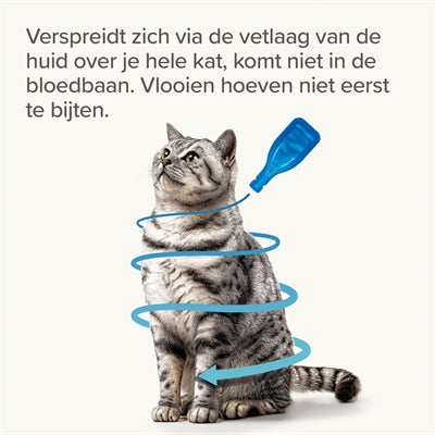 Beaphar Fiprotec Kat Tegen Vlooien & Teken - BESTRIJDINGSARTIKELEN - BrokjesKoning.nl