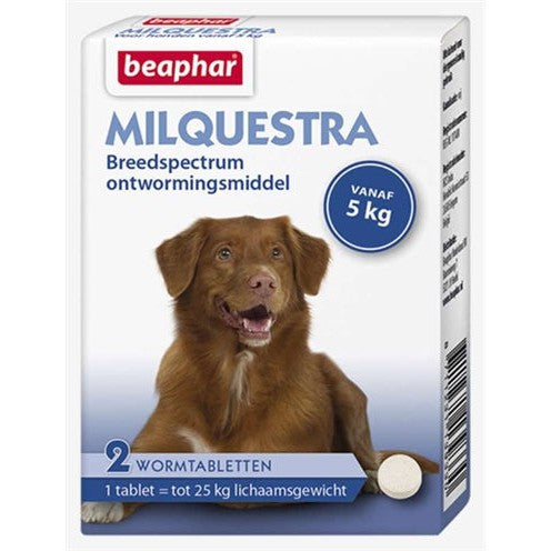 Beaphar Milquestra Hond - BESTRIJDINGSARTIKELEN - BrokjesKoning.nl