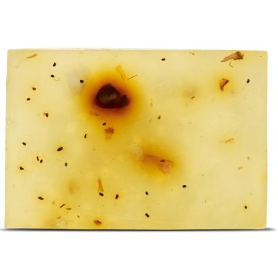 Beloved Vegan Pet Shampoo Bar - SHAMPOO - BrokjesKoning.nl