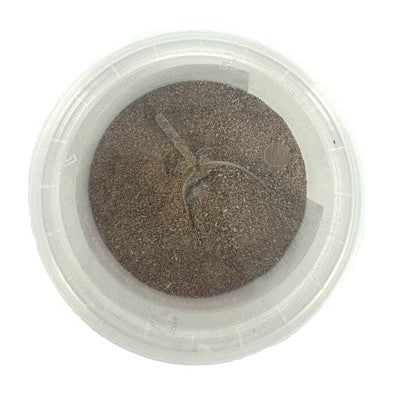 Dierendrogist Groenlipmossel Extract Veterinair - VOEDINGSSUPPLEMENTEN - BrokjesKoning.nl
