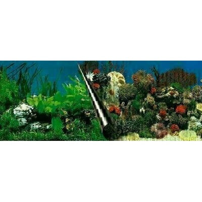 Ebi Foto Achterwand Stone+Coral - DECORATIE - BrokjesKoning.nl