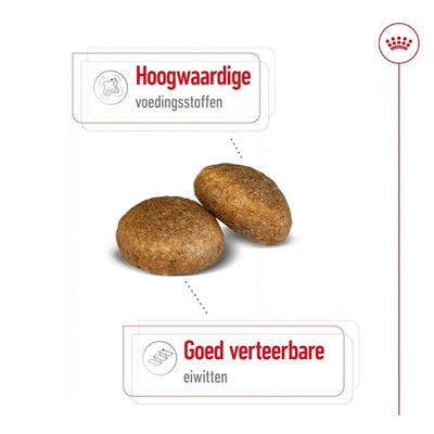 Royal Canin Maxi Adult - DROOGVOER - BrokjesKoning.nl