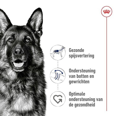 Royal Canin Maxi Adult - DROOGVOER - BrokjesKoning.nl