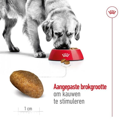 Royal Canin Maxi Adult - DROOGVOER - BrokjesKoning.nl
