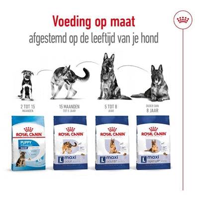 Royal Canin Maxi Adult - DROOGVOER - BrokjesKoning.nl