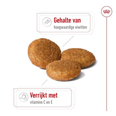 Royal Canin Medium Adult - DROOGVOER - BrokjesKoning.nl