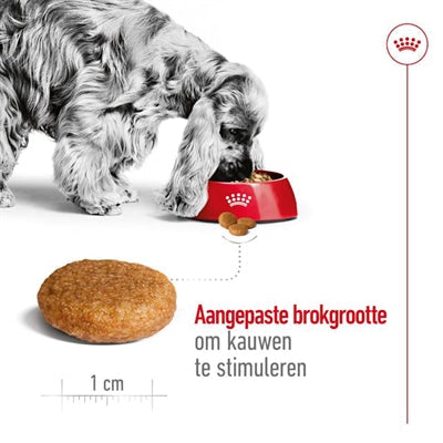 Royal Canin Medium Adult - DROOGVOER - BrokjesKoning.nl