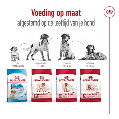 Royal Canin Medium Adult - DROOGVOER - BrokjesKoning.nl