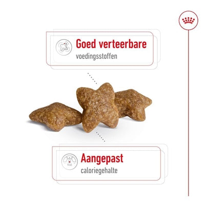 Royal Canin Mini Adult - DROOGVOER - BrokjesKoning.nl