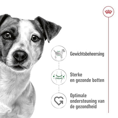 Royal Canin Mini Adult - DROOGVOER - BrokjesKoning.nl