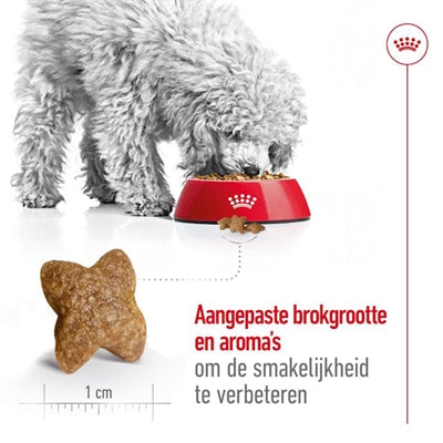 Royal Canin Mini Adult - DROOGVOER - BrokjesKoning.nl