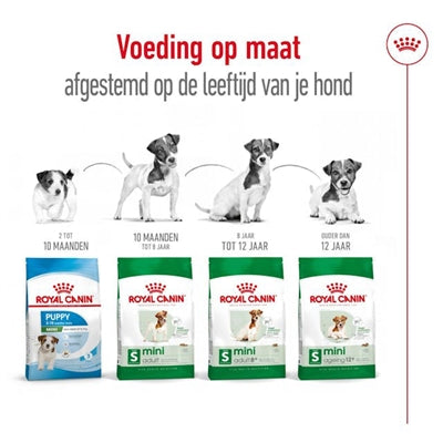 Royal Canin Mini Adult - DROOGVOER - BrokjesKoning.nl