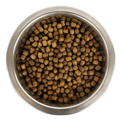 Yourdog Chien Français Blanc Et Orange Pup - DROOGVOER - BrokjesKoning.nl