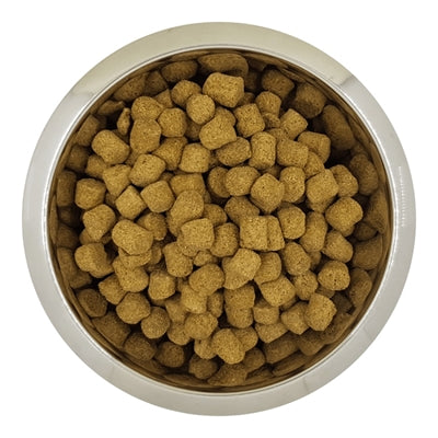 Yourdog Chien Français Blanc Et Orange Senior - DROOGVOER - BrokjesKoning.nl