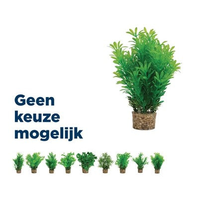 Zolux Ornament Pastic Plant Op Stenen Neutraal Assorti - DECORATIE - BrokjesKoning.nl