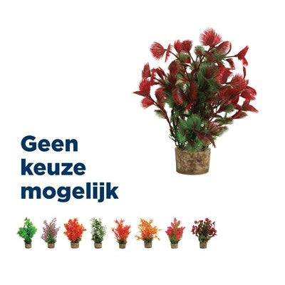 Zolux Ornament Pastic Plant Op Stenen Puntig Assorti - DECORATIE - BrokjesKoning.nl
