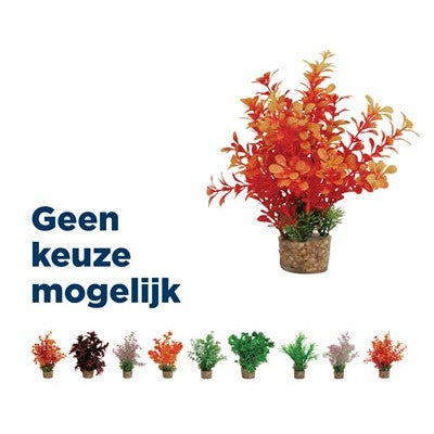 Zolux Ornament Pastic Plant Op Stenen Vrolijk Assorti - DECORATIE - BrokjesKoning.nl